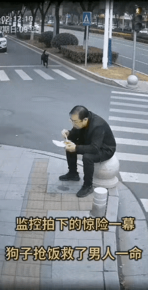 “太惊险了”！男子坐在路边石球上吃饭，完全没察觉危险正在靠近。紧要关头，一条大黑