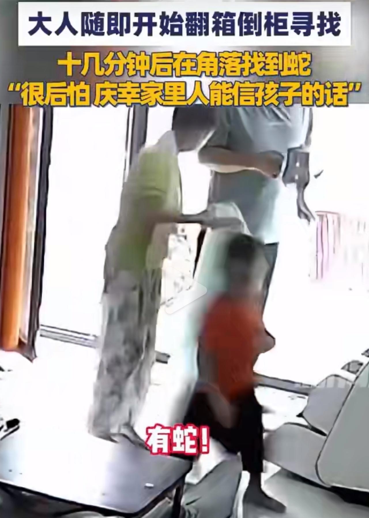5岁娃喊“屋里有蛇”，全家翻箱倒柜10分钟，还真从沙发底拽出来了！四川自贡这