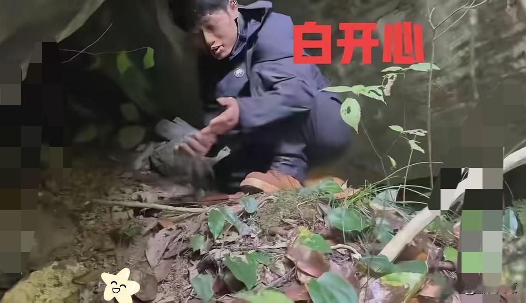 林北找了一个很棒的岩洞不仅防雨，重点是宽敞保暖，还没来得及开心，结果节目组不