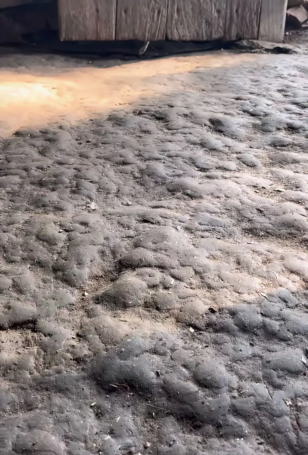 有人在这样的家里长大的吗？