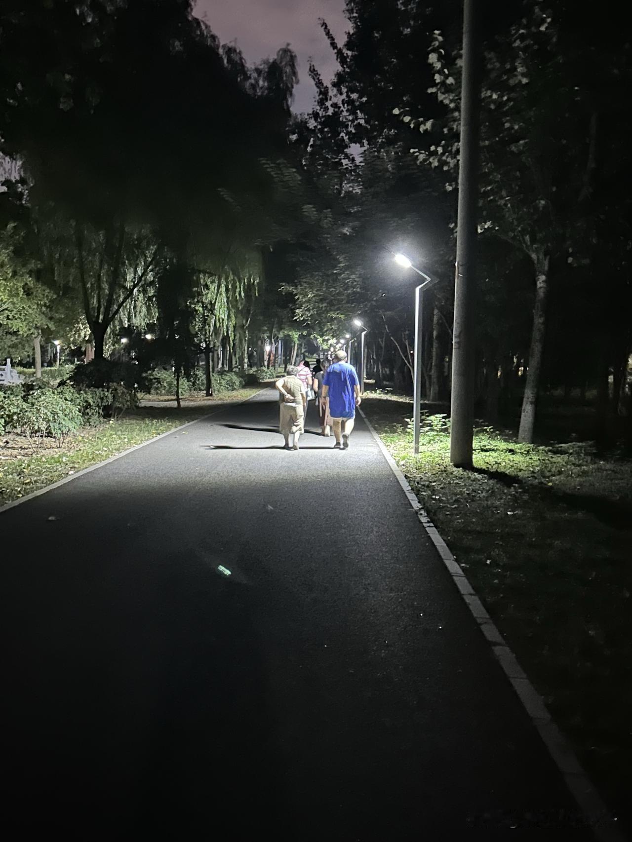 到底是早上跑步好，还是晚上跑步好🤔我个人更偏爱早晨跑一跑，晚上简单散散步就