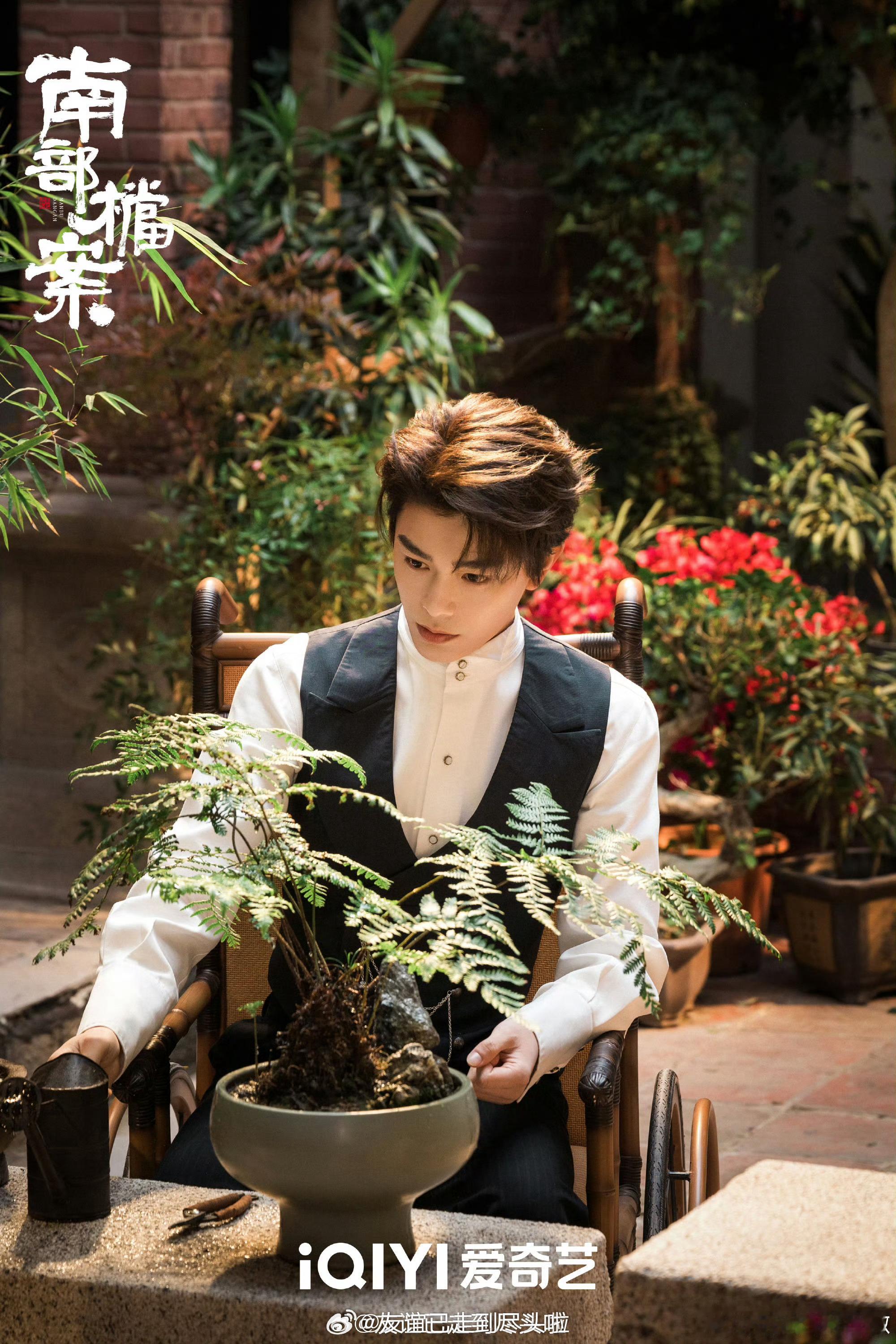 张新成，丁禹兮《南部档案》开始招商了，预计六月🥝上线，有人期待这一部吗？