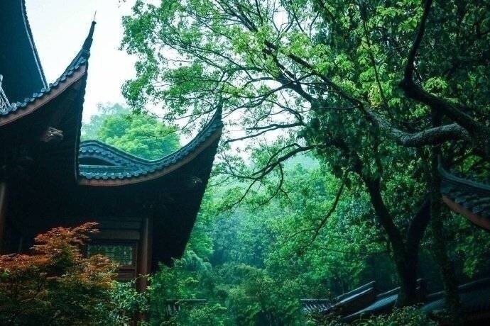 灵隐寺丨杭州​​​​浙江旅游​​​