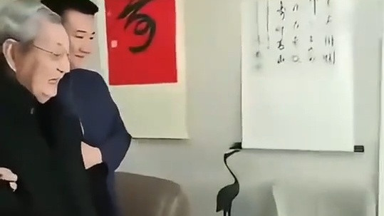 清廉一生享高寿：103岁传奇人物的长寿秘诀