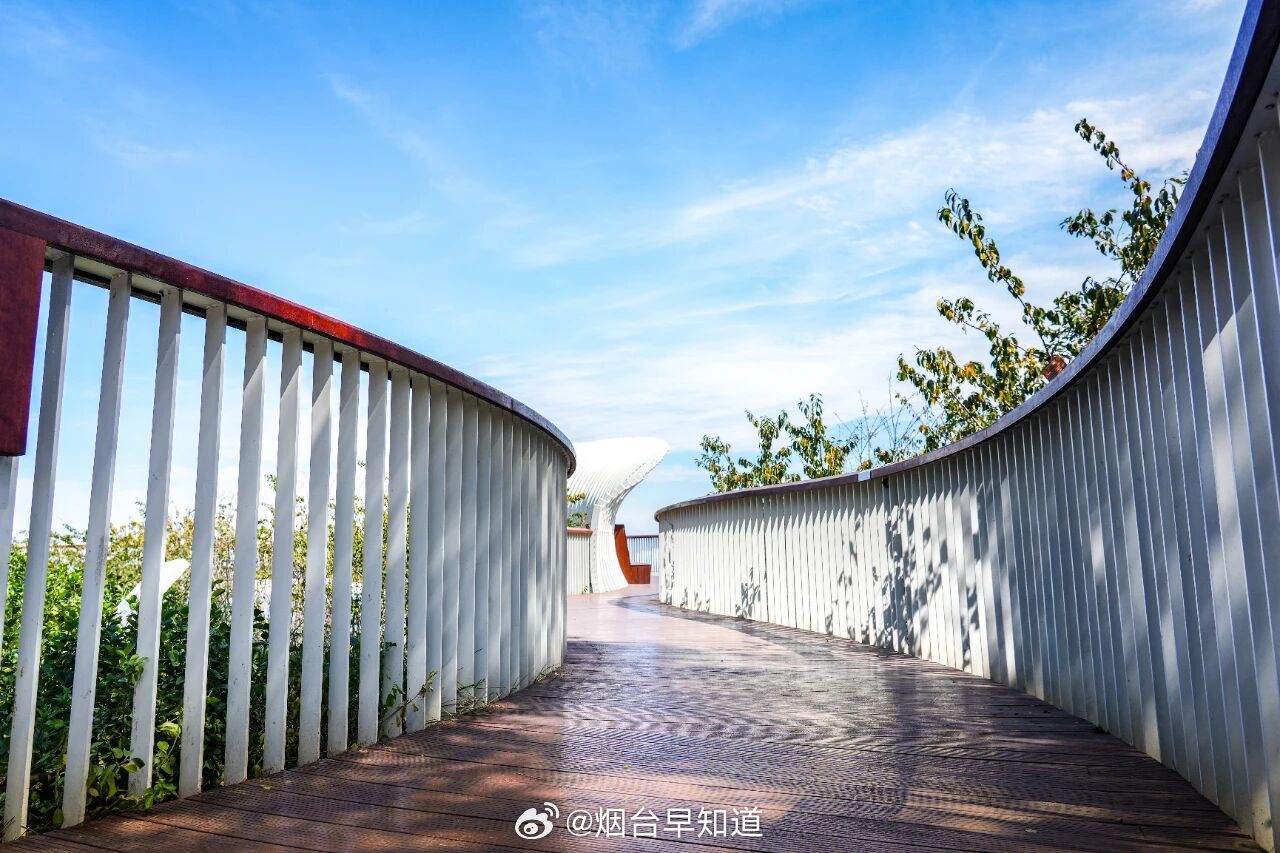 烟台空中栈道浪漫值拉满烟台秋游徒步好地！岱王山公园，海拔四百余米，难度适中，新