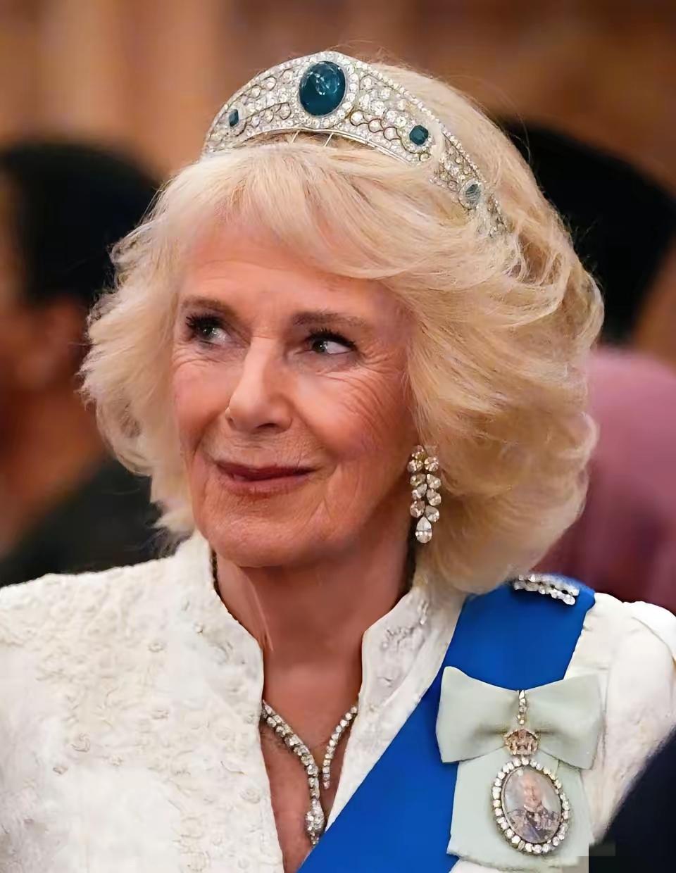 卡米拉失策了！没有王室的孩子，她终归会输得体无完肤！有祖母绿的皇冠又如何？这珠