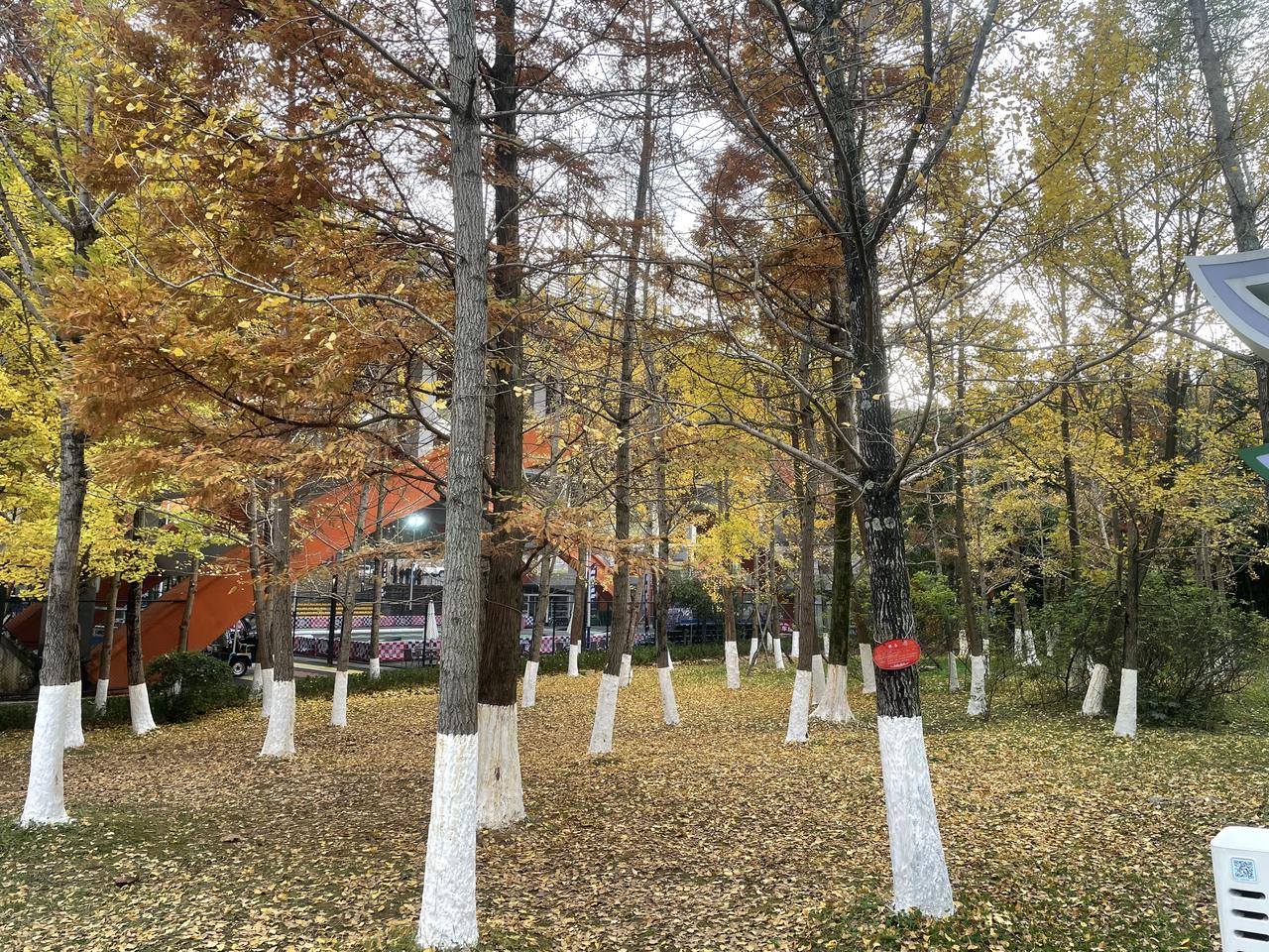 追女生真的好累遇到一个喜欢的女孩，是想一起过日子的那种，但真心