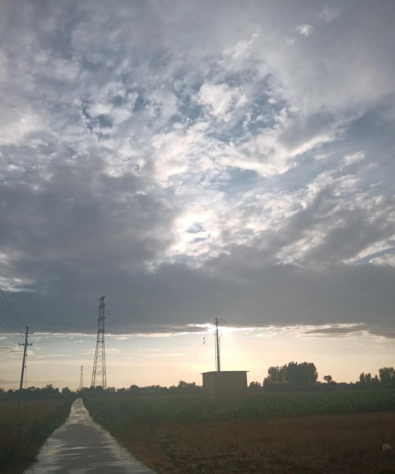 起一大早去了玉米地，发现很多玉米叶子上小青虫都把叶子吃成了筛网，前天二亩地买了三