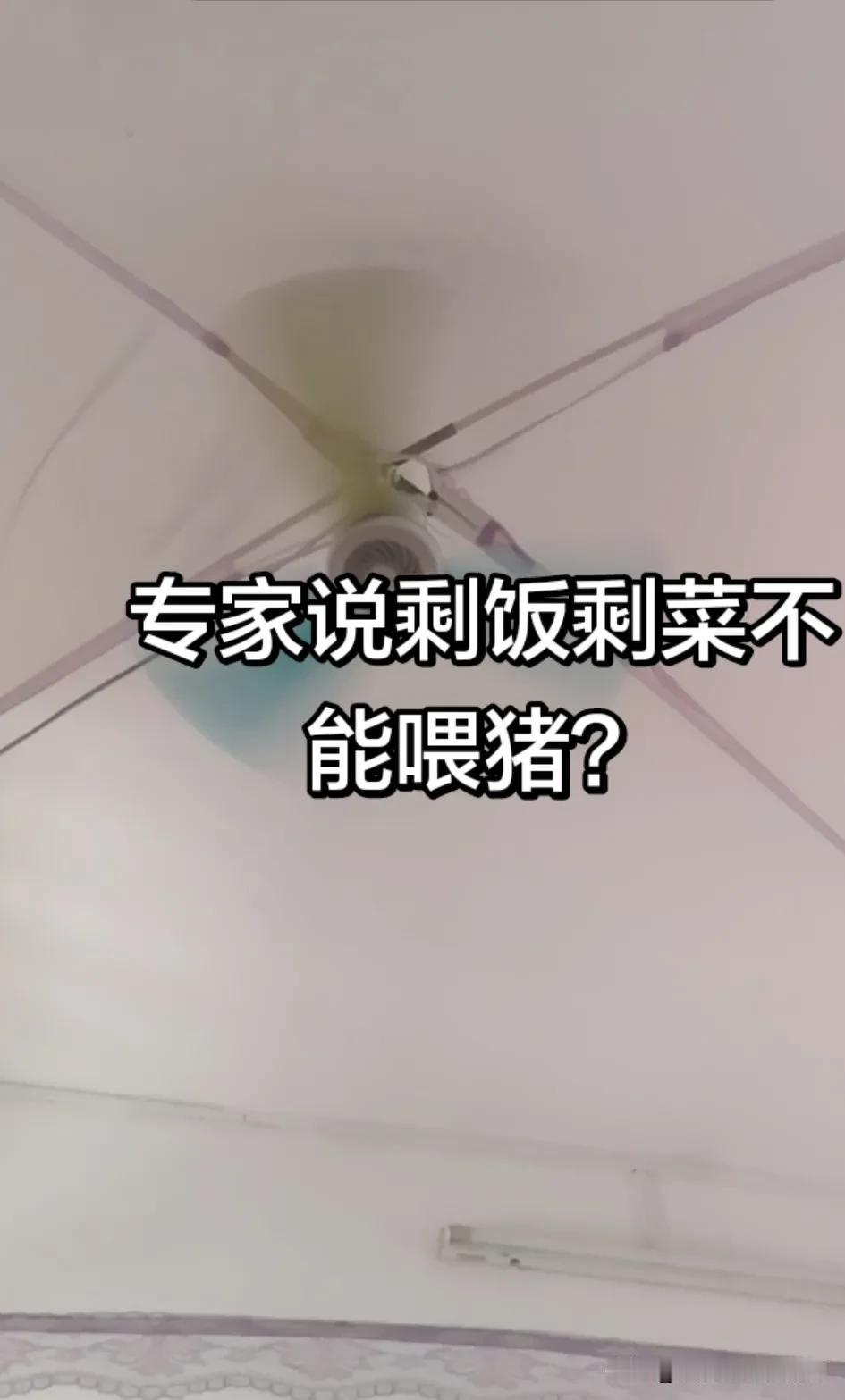 我在网上刷到有专家说剩饭剩菜不能喂猪？真是搞笑！剩饭剩菜人都能吃！猪反而不能吃了