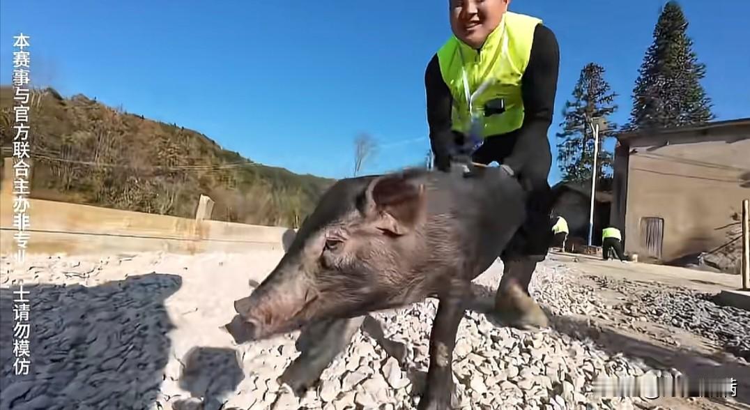 这才是良心荒野求生啊，刚刷到贵州的荒野求生，才刚开始比赛，就开始投放佩奇，兔子，