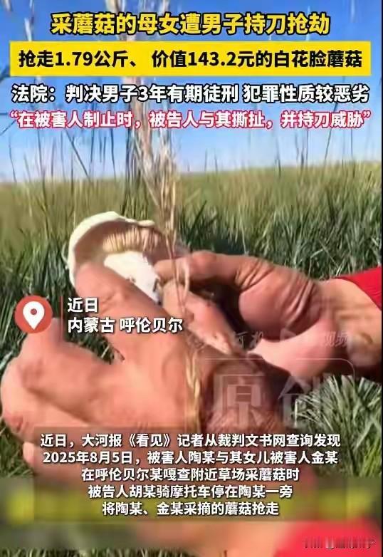 就为了一斤多蘑菇，蹲三年大牢，这买卖亏到姥姥家了！2025年夏天，内蒙古呼