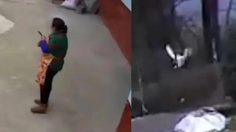 南宁奇事！18斤大鹅家门口河沟凭空消失，水底竟藏“神秘猎手”？南宁一户村民最