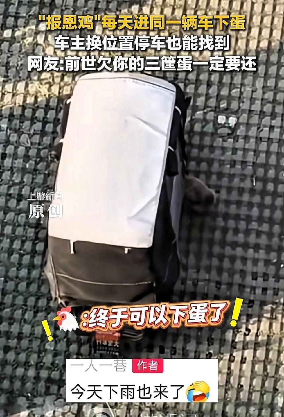 解释不清了！安徽阜阳，一女子车后座连续几天就会出现一个热乎乎的鸡蛋，就算车子移动