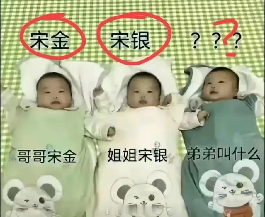 来个有才的起个响亮的名字，不俗气那种。​​​