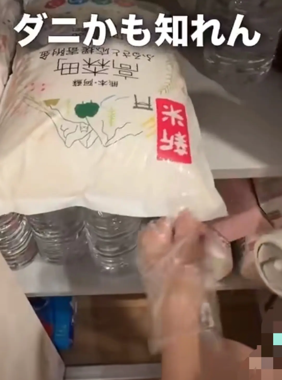 近日外网有一位日本主妇，上传了她的绝望视频：米价还没降下来，家里屯的大米竟然都