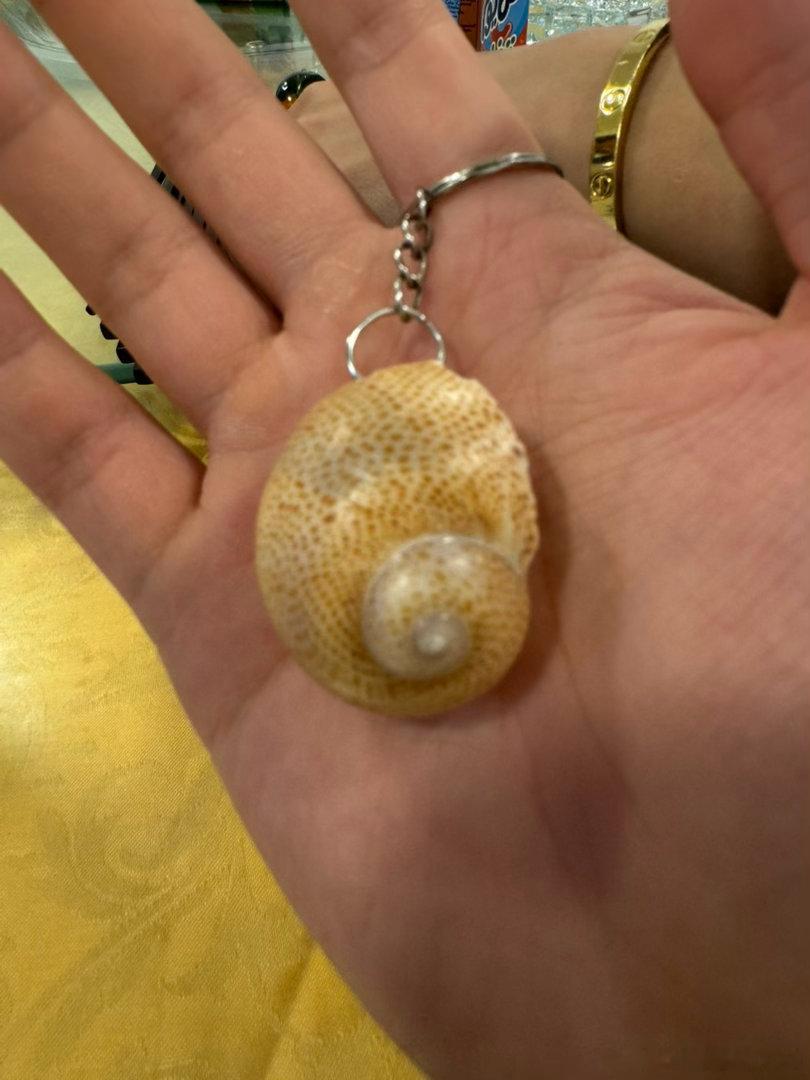 感觉是为数不多，让我感觉极为真诚的埃及人虽然我依旧没记住她的名字[思考]我只能称呼她为苏伊士运河小区