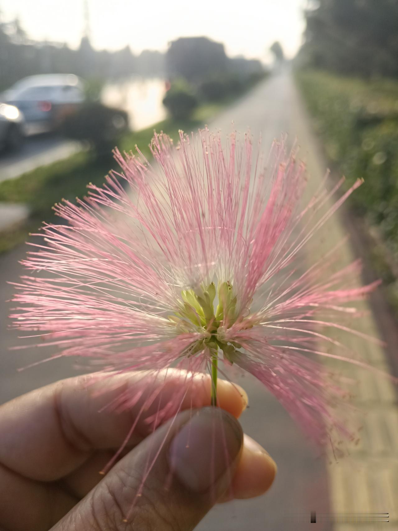 老祖宗留下的四句话，道尽了人这一生的好风水。​​1.天善日月明老天厚道，日