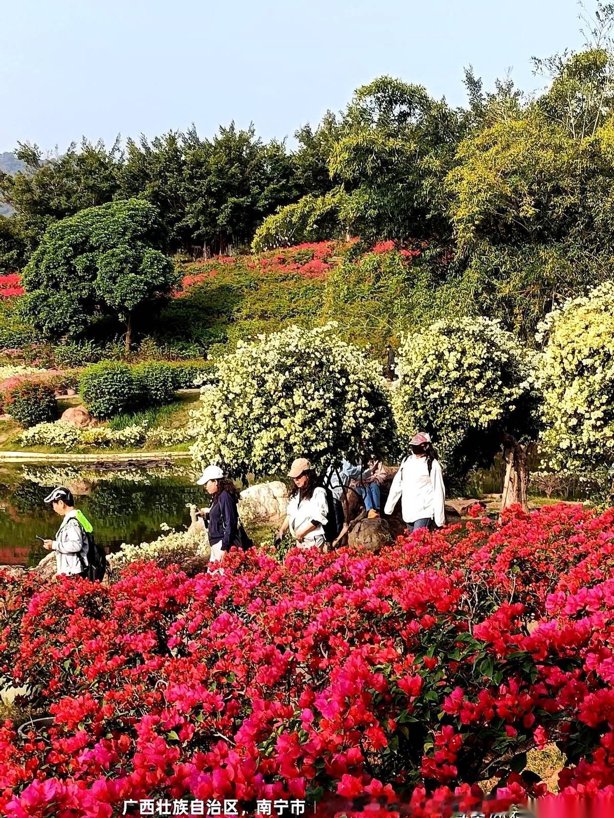 谁能想到，我现在最怕的节，竟然是过年。不是嫌吵，也不是怕花钱。就是怕撕日历，