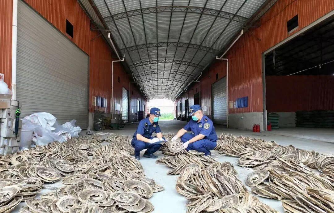 云南瑞丽口岸发生件离奇事：一辆大货车揣着“烟泡木炭”的报关单大摇大摆入境，结果车