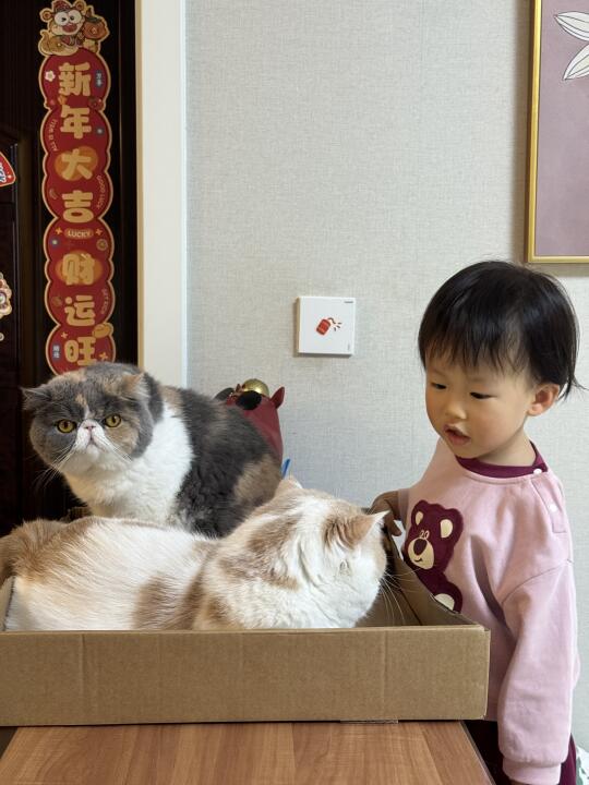 再摸我，我就把奶茶喝了