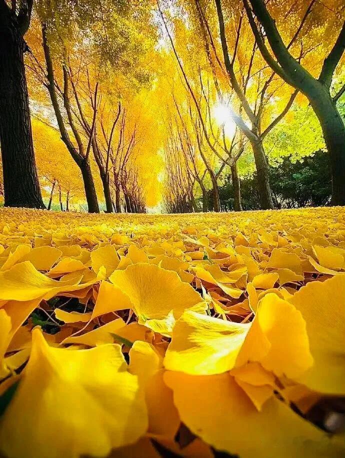 人老了，带病生存，也能活的通透自在有没有过这样的时刻：身体突然亮