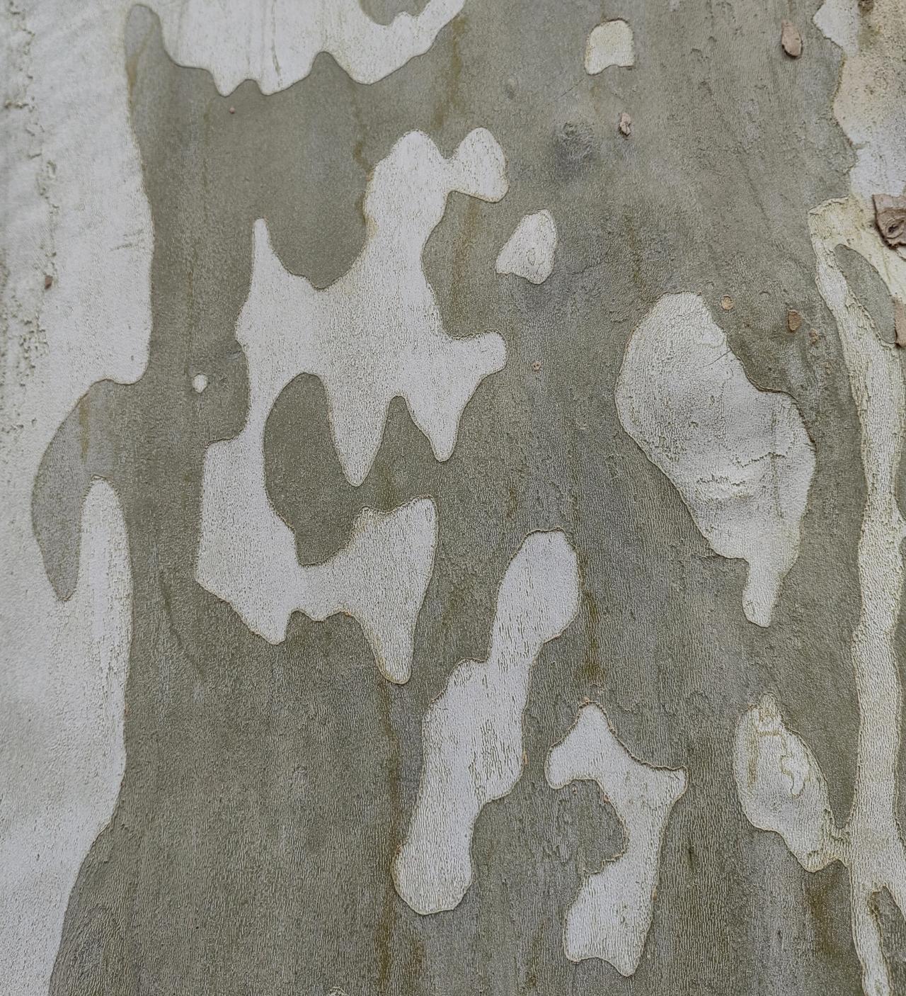 某同志讲劳动工作纪律，十分耐心地讲了五点：第一，喝酒绝对不能开车，酒驾没人能救；