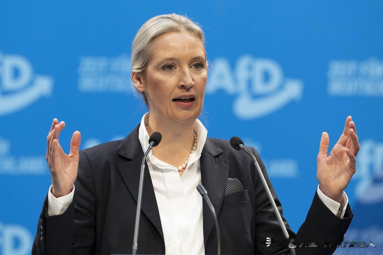 德国坦克再次开进俄罗斯？默茨疯了，但魏德尔没疯！很多人以为援助乌克兰是“正义”，