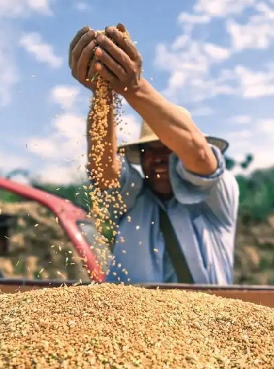 “饿死十四亿人？”美国驻日大使竟然曾公开威胁中国：如果中国不按美国的意愿行事，不