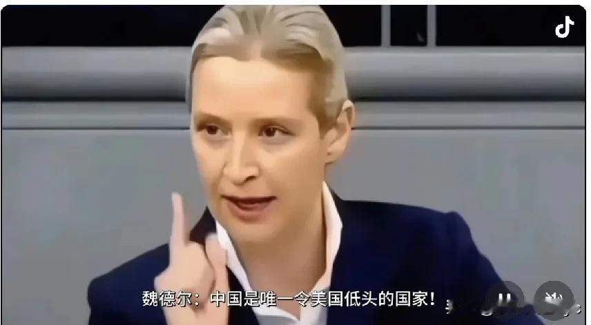 德国选择党魏德尔在新近的一次演讲中说道——美国无论谁当总统，其对外政策始终奉行