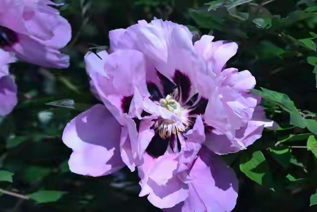 情有多贵，爱就有多贵，生命无价，请善待自己。成年人的世界，有太多“不得不”，