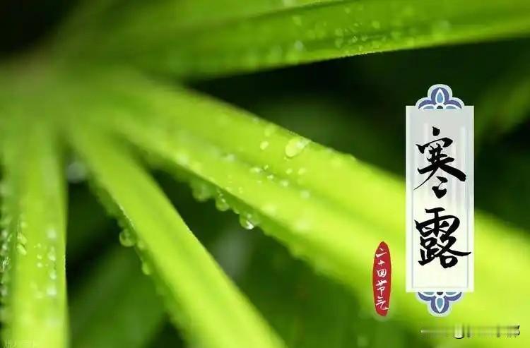 “上午寒露冬穿单，下午寒露三层棉”，今年寒露几点？有啥说法？说到寒露，很多