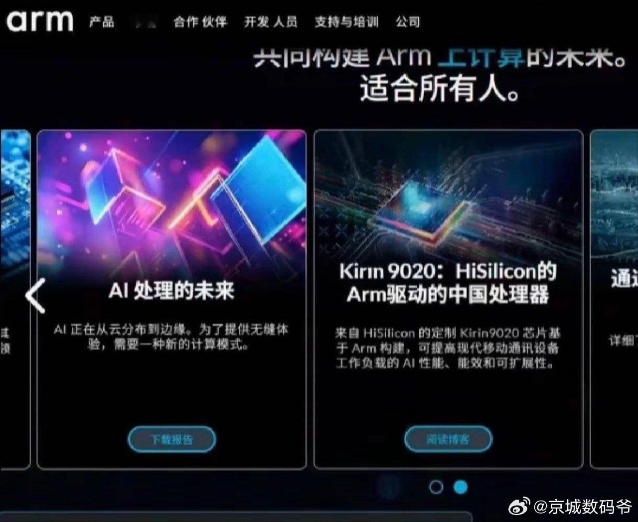 额.....麒麟9020是基于ARM的中国处理器...这TM谁做的？我真的很