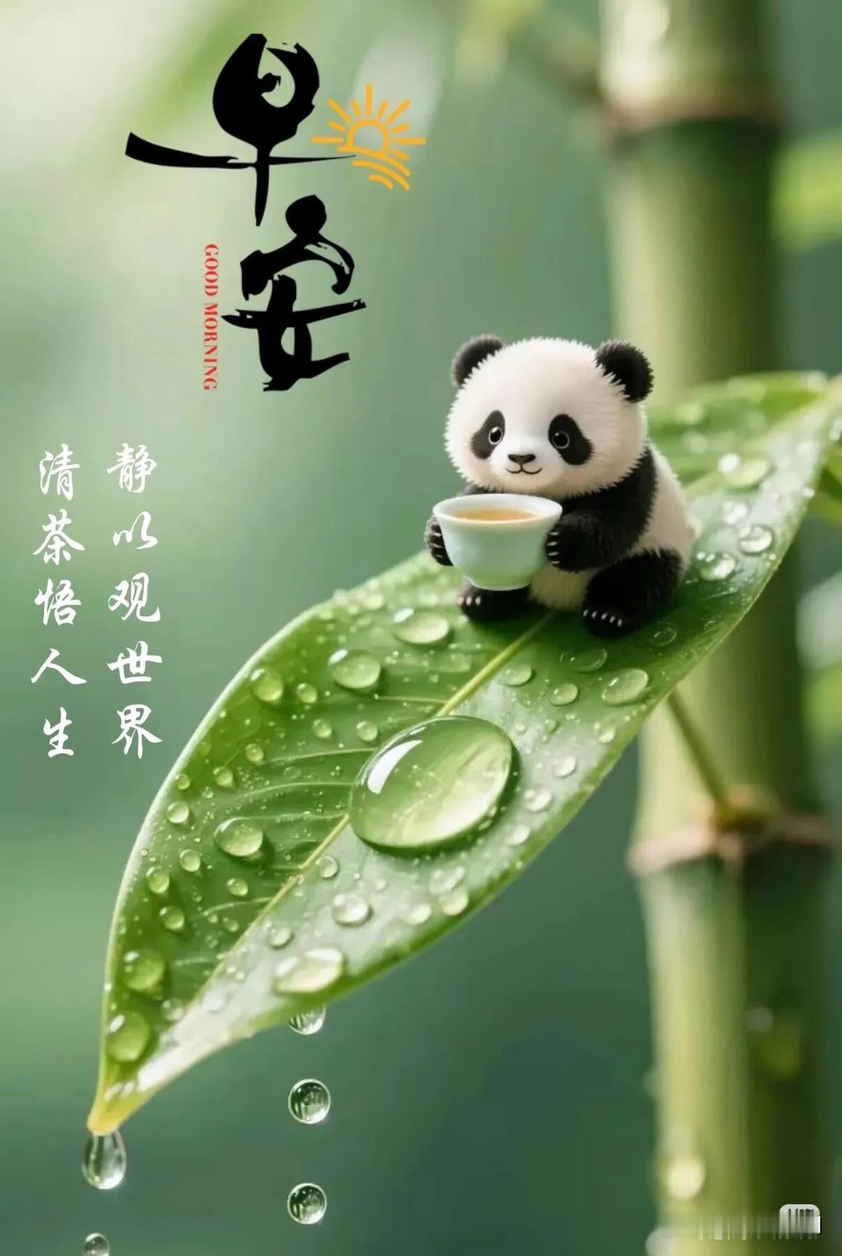 新的一天，愿快乐一直围绕着你，早安。
