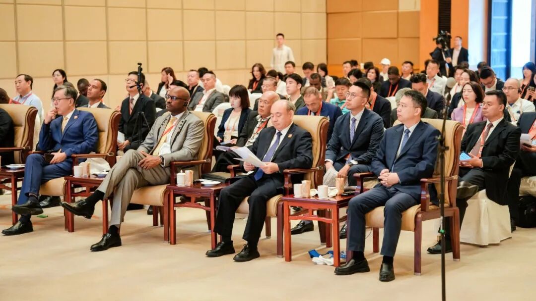 关于中国股市的五个基本问题