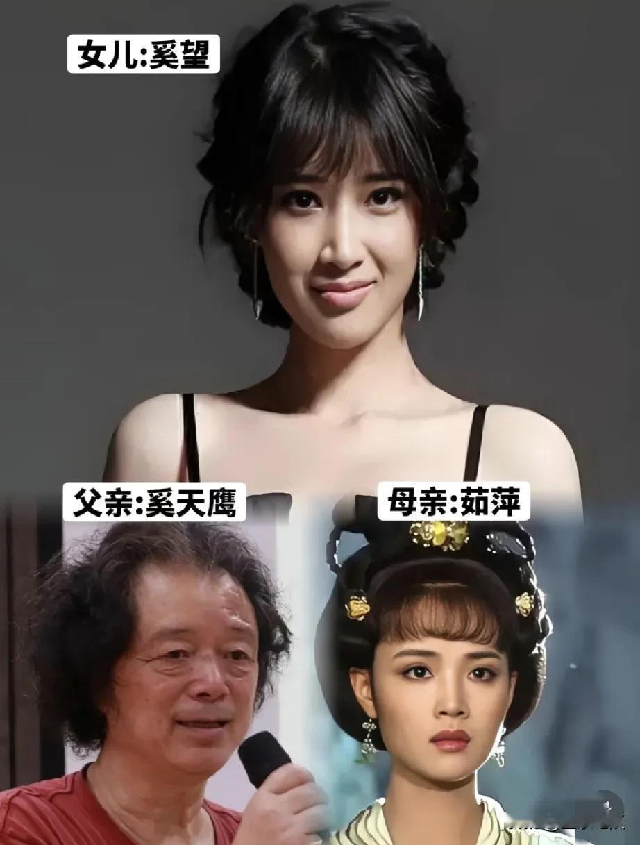 奚望是奚天鹰和著名演员茹萍的女儿，颜值出众，完美吸收了爸妈的优点。五官精致，眉