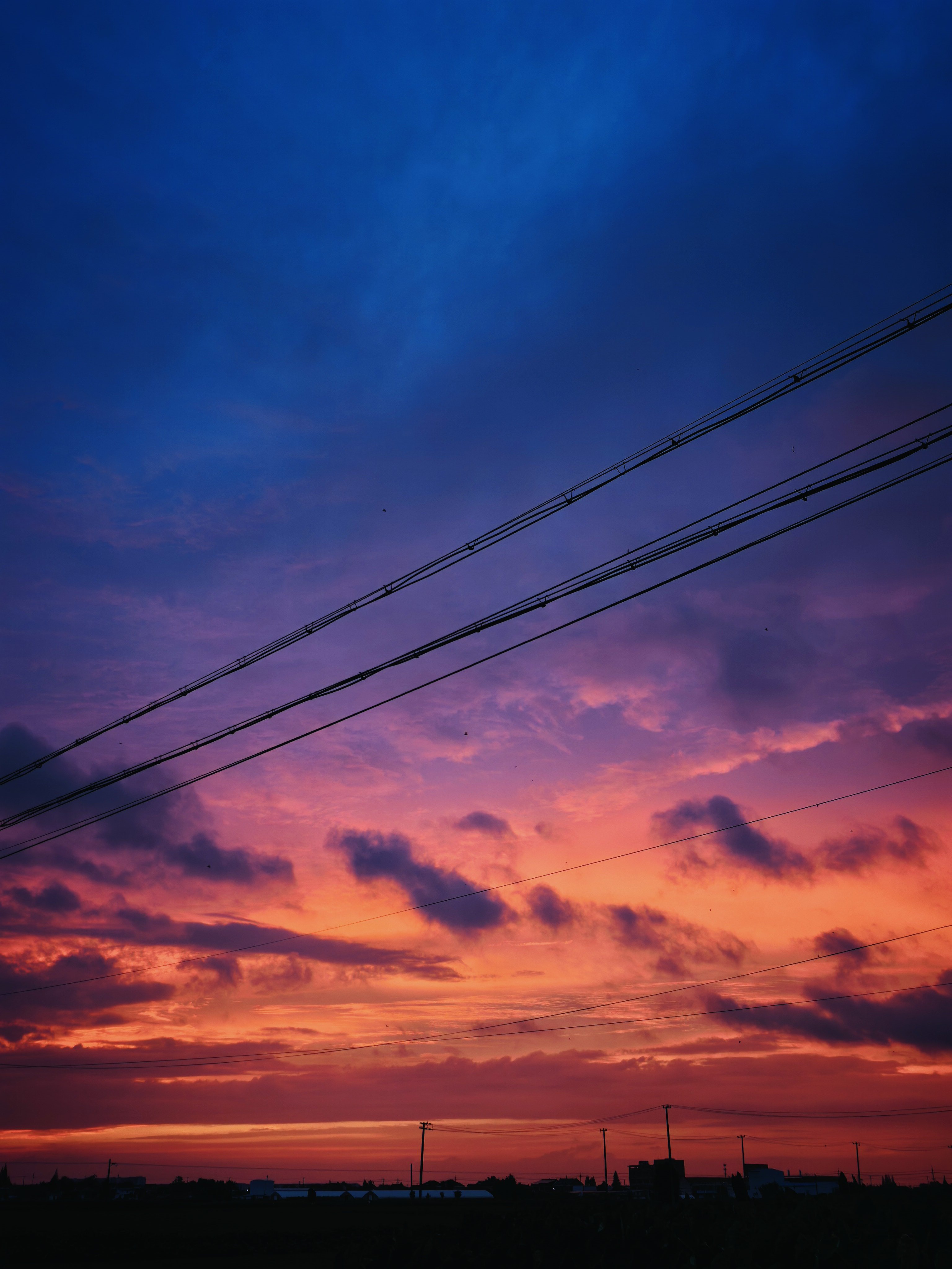 好漂亮呀！🌇​​​