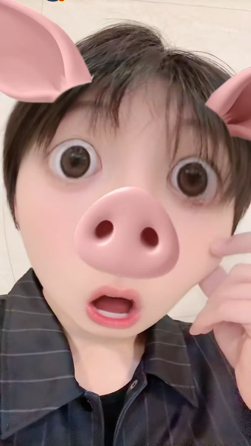 朱志鑫变猪猪鑫朱志鑫变猪志鑫可爱的猪猪鑫晚安啦