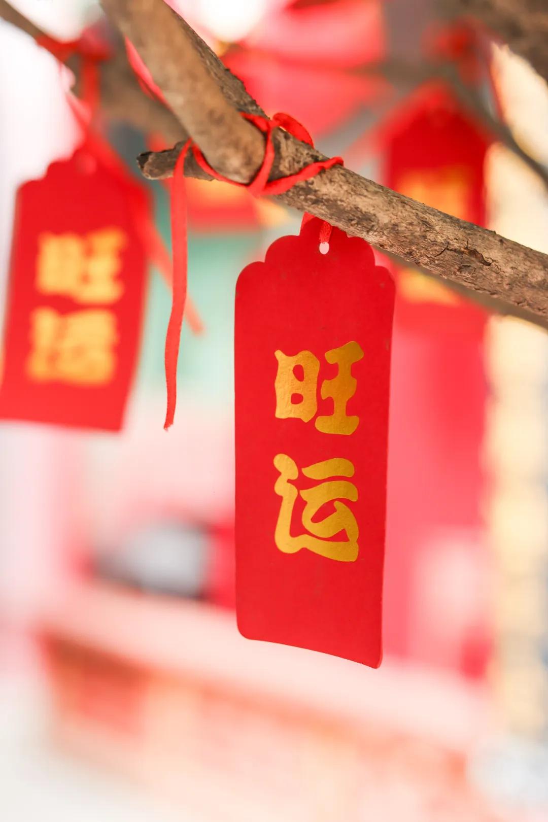 藏在闹市中的这方净土，90%的西安人没去过这里被称为“藏不住的千年秘境”，不知