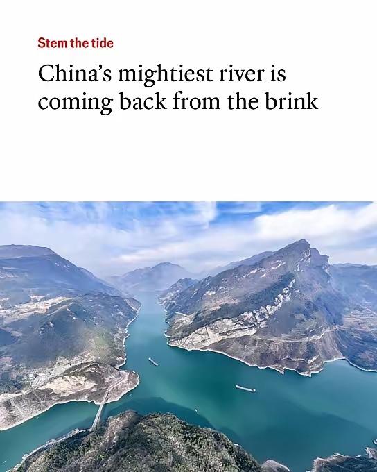 它们又来事了，一如既往地模式：虽然取得了成就，但是……这次它们更过分了，还专门