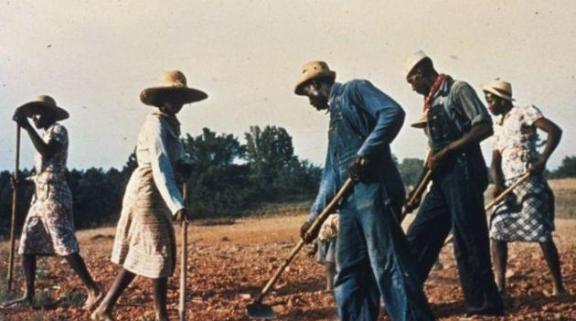 在美国黑奴时朝，南方农场主喜欢用女黑奴来招待客人，而且这是一项传统。结果，这些女