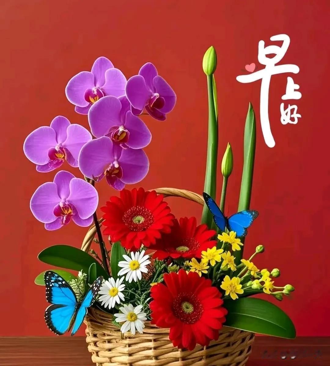 清晨问候心情好，心态乐观最重要快乐开心人不老平平安安身体好[比心][比心]