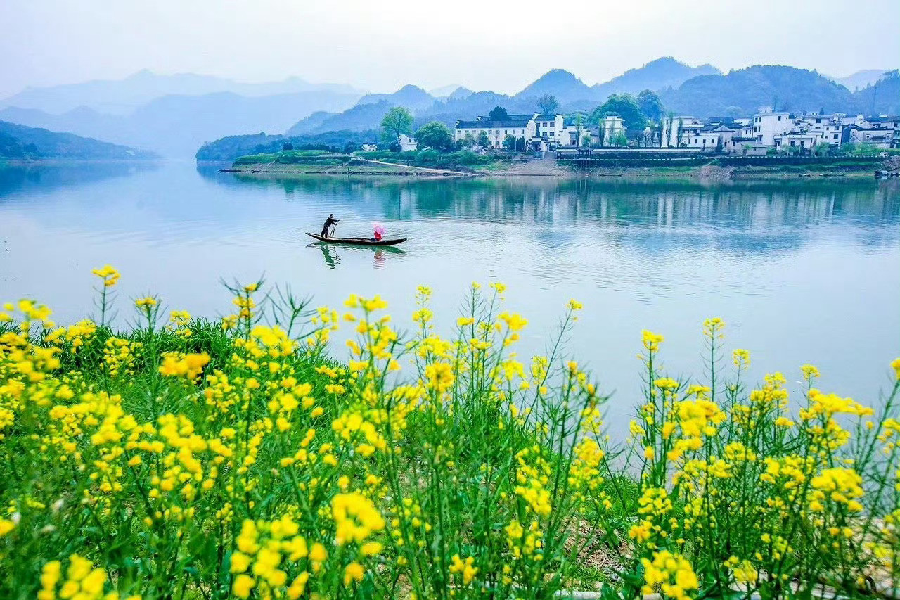 黄花三月踏徽州，半阴半雨伴神游！