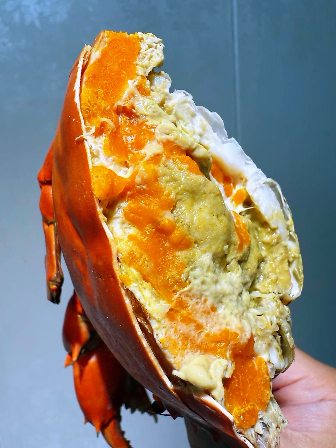 深夜放蟹🦀