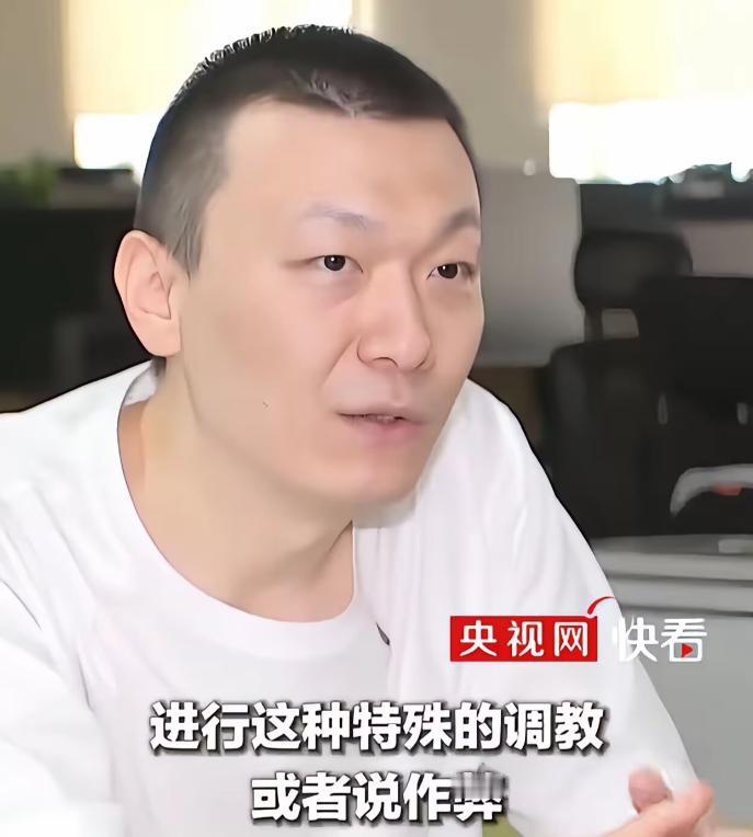 央视都亲自下场报道了，某品牌现在瑟瑟发抖了吧。至于报道中的手机是哪个品牌的，大家