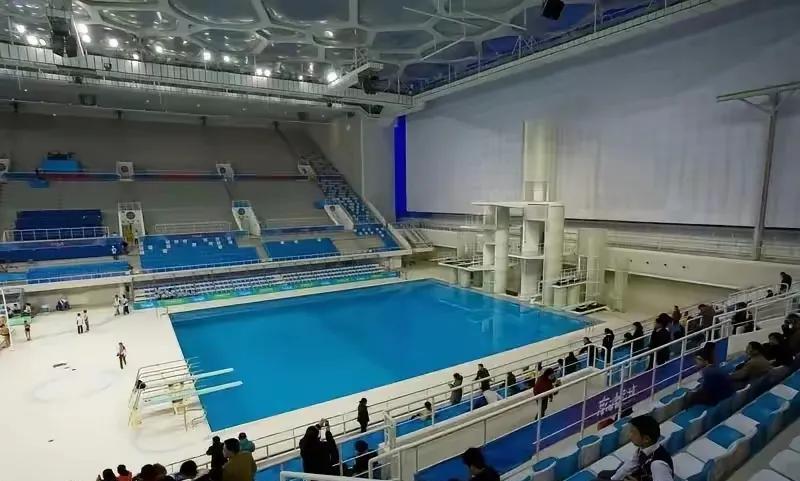 婵宝这次比赛因旧伤复发没能参加，虽然陈芋汐跳水技能也很棒，毕竟她也多次得到了冠军