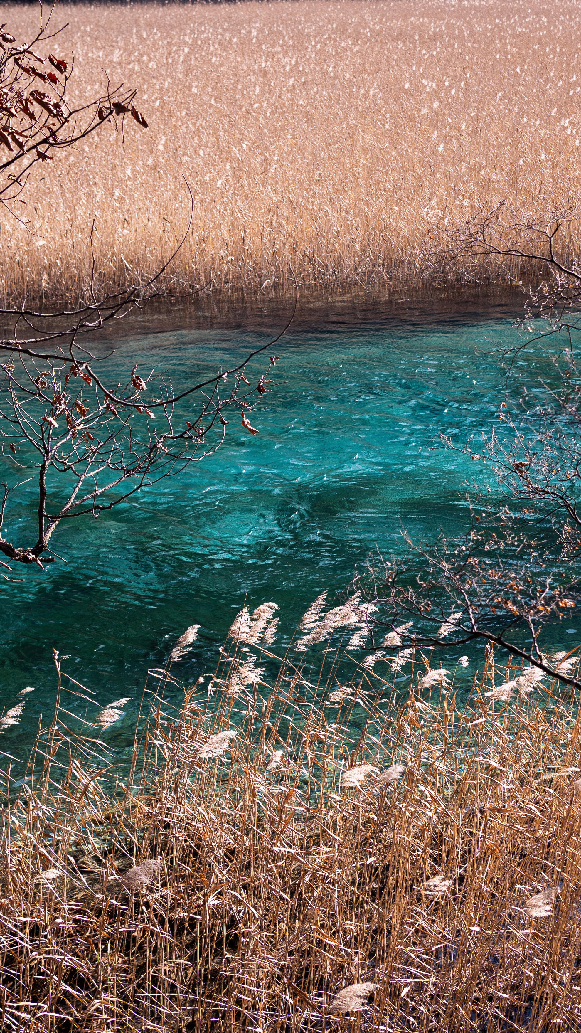四川|九寨沟谢谢你赏面给了晴天冷是真的冷，漂亮也是真的漂亮