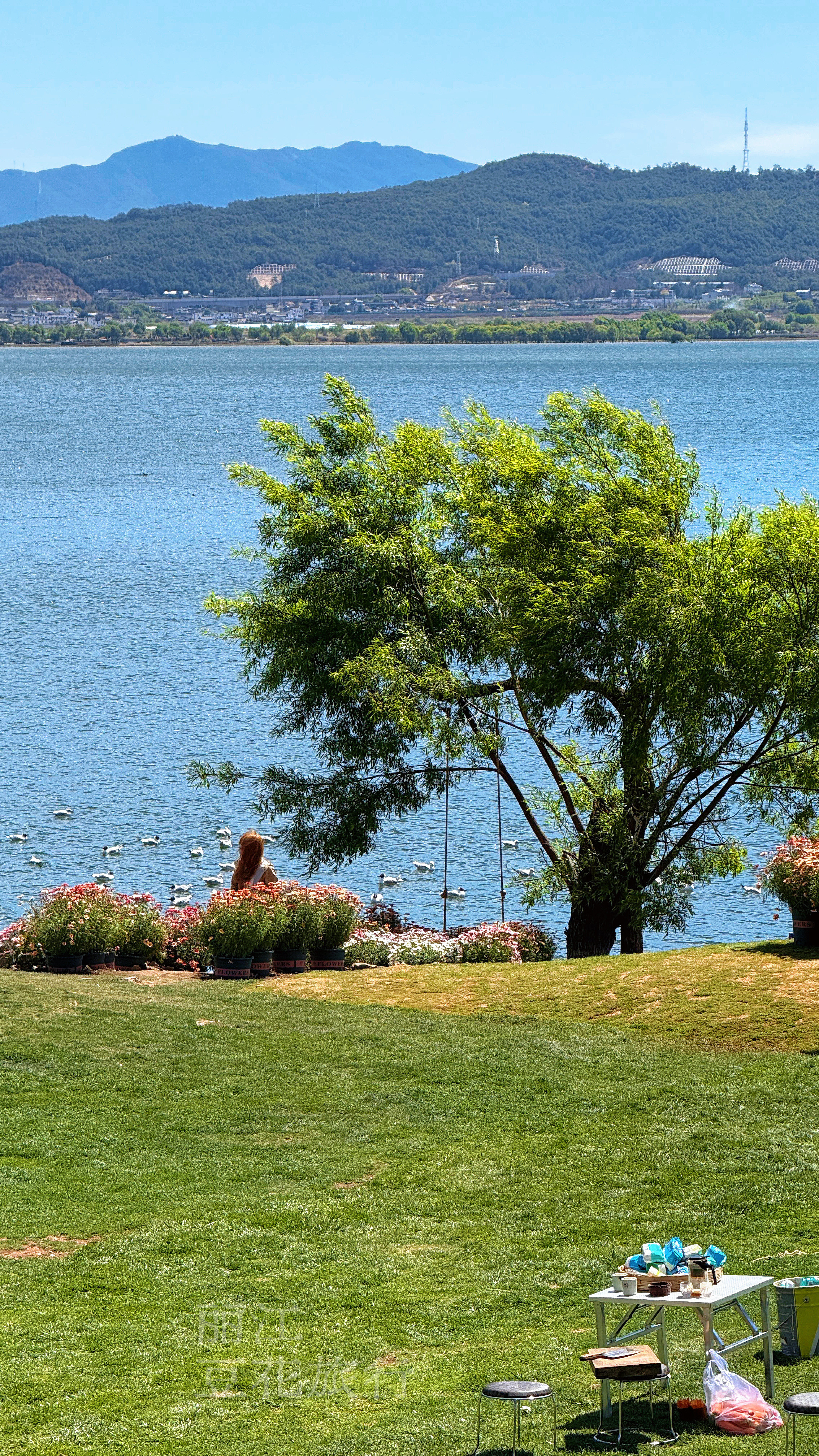 来丽江还怕拉市海被坑？怕跟团不自由、怕被乱推销、怕有隐形消费？我是在云南做了15
