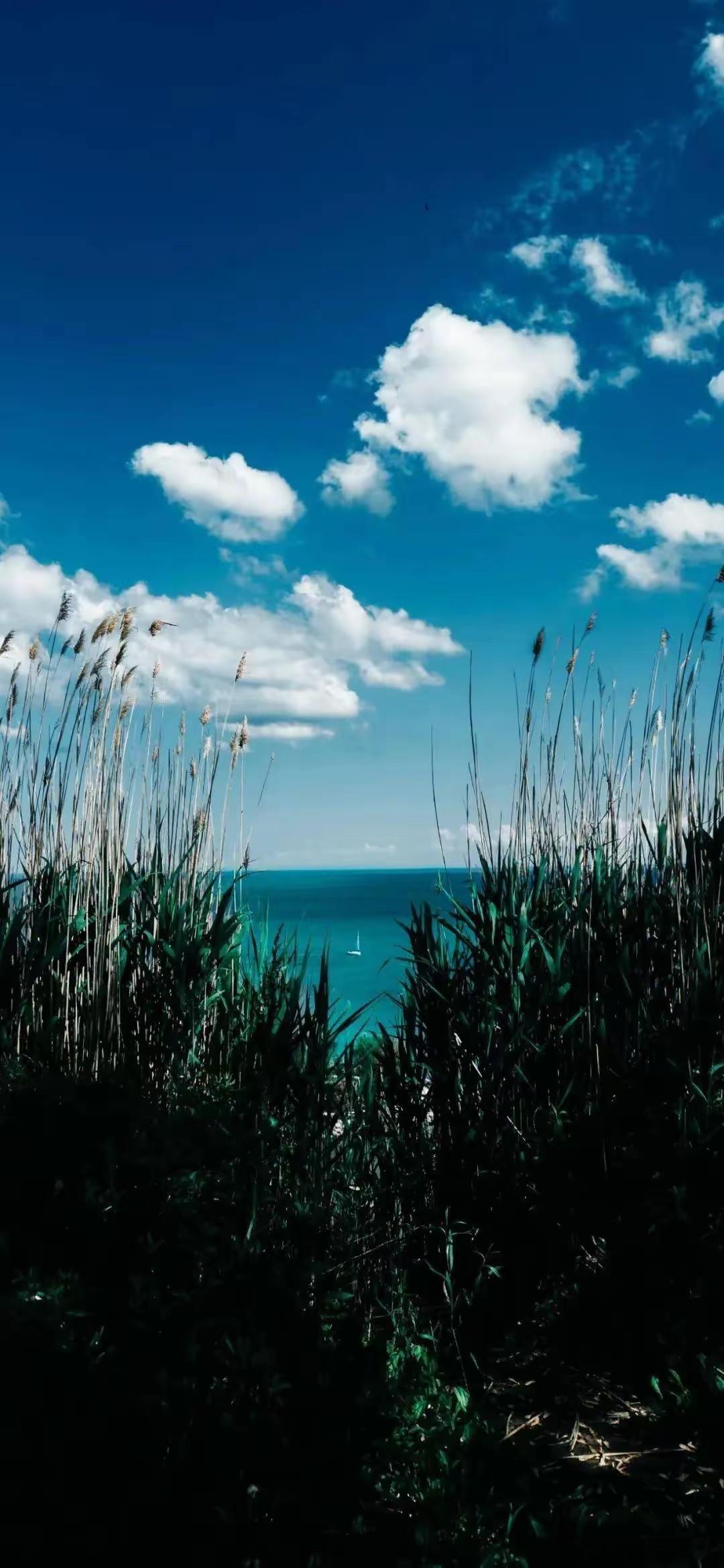 心理学家说:“一定要学会给别人祛魅，祛魅就是看透！你学历再高关我什么事，你年薪百