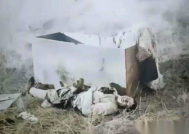 日本人剖开他肚子的时候，都傻了。真的，一群人围着，刀子划下去，所有人都想看看，