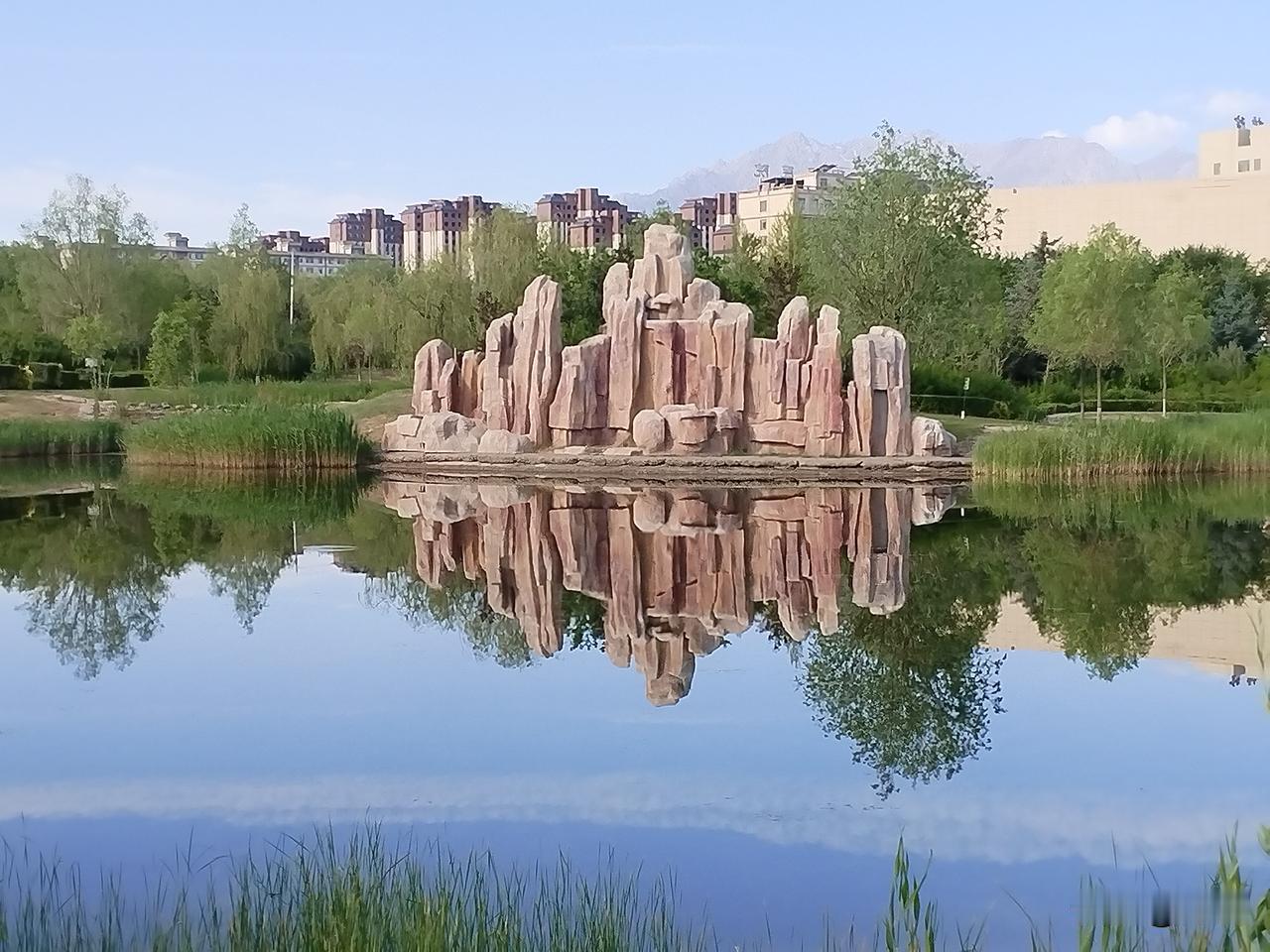 提升免疫力的8个实用习惯，守住健康防线1. 每日两枚鸡蛋：补足优质蛋白，为